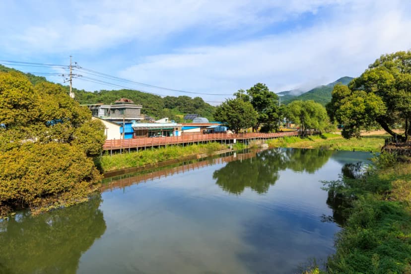 곡성 들말 야영장 사진 8