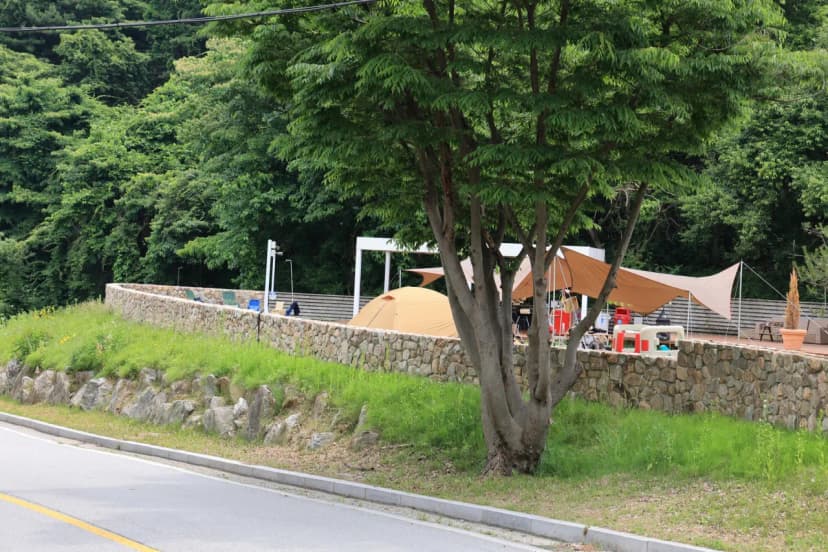 그로브 사진 4