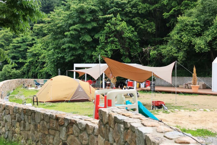 그로브 사진 5