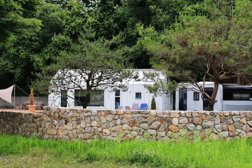 그로브 사진 6