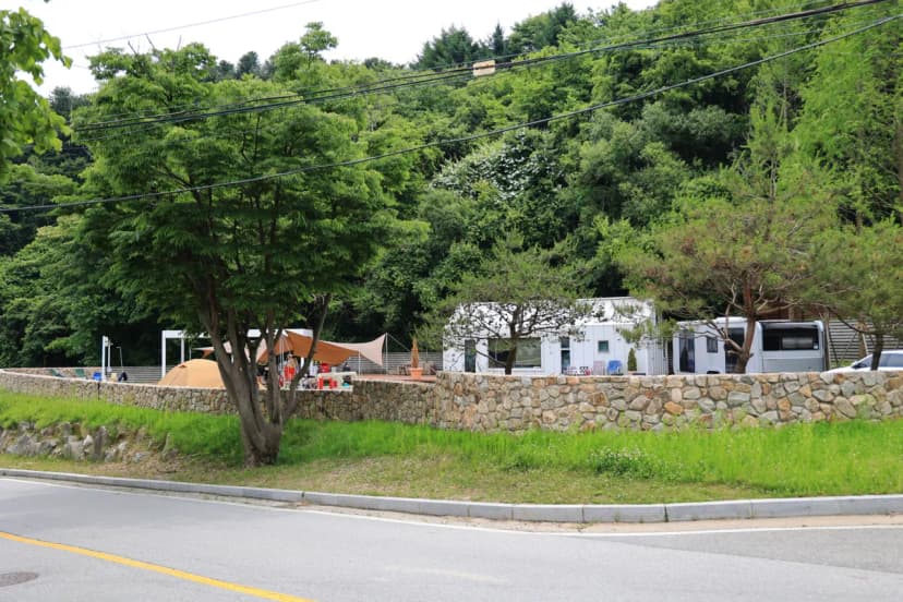 그로브 사진 7