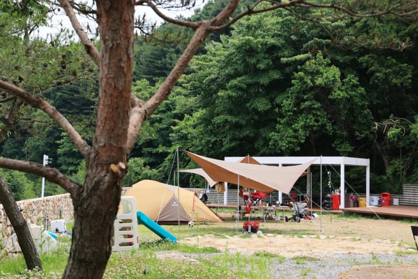 그로브 사진 9