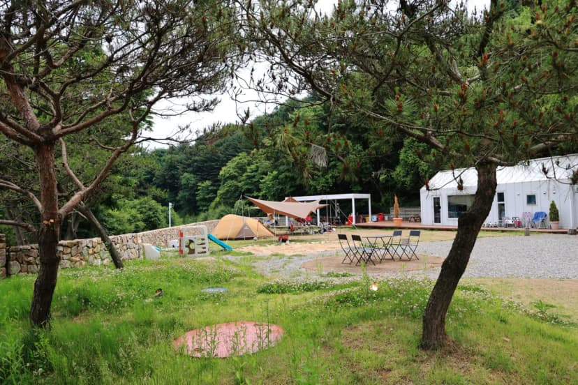 그로브 사진 12