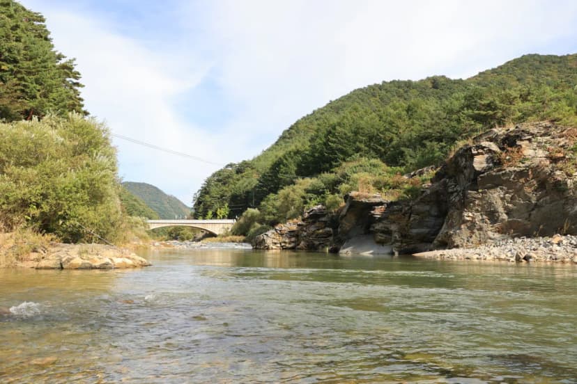 정선 달별빛 캠핑장 사진 3