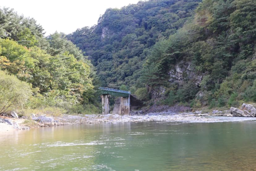 정선 달별빛 캠핑장 사진 4