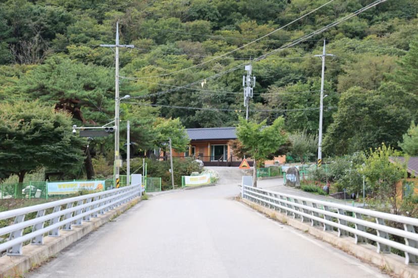 정선 달별빛 캠핑장 사진 5