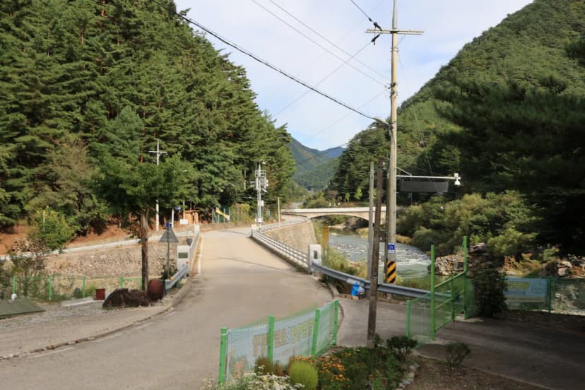 정선 달별빛 캠핑장 사진 8