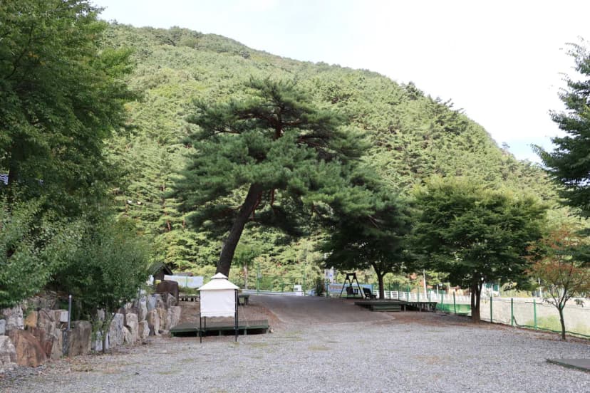 정선 달별빛 캠핑장 사진 13