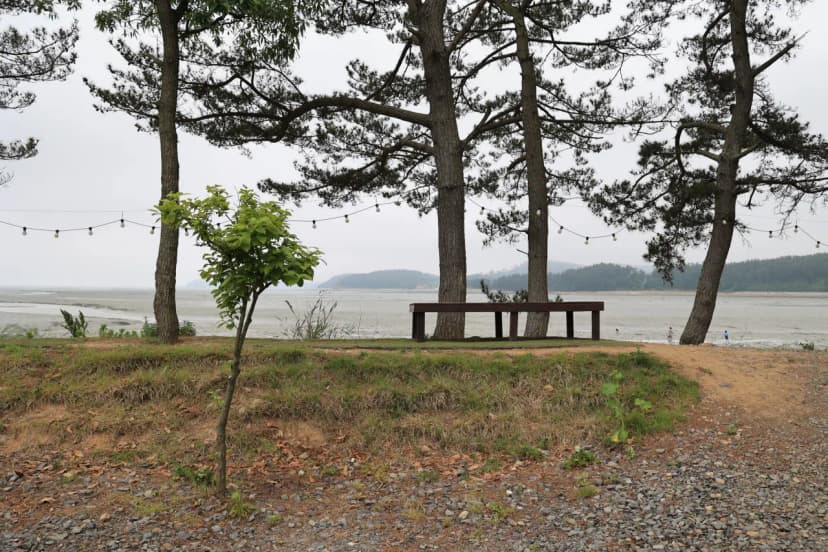 체로키캠핑장 (Cherokeycamp) 사진 8