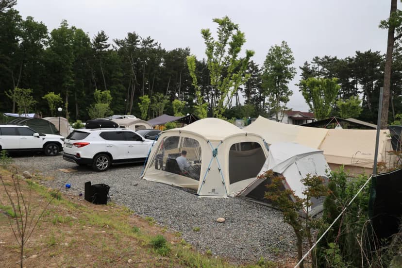 체로키캠핑장 (Cherokeycamp) 사진 12