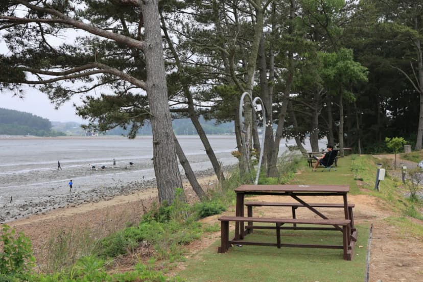 체로키캠핑장 (Cherokeycamp) 사진 13