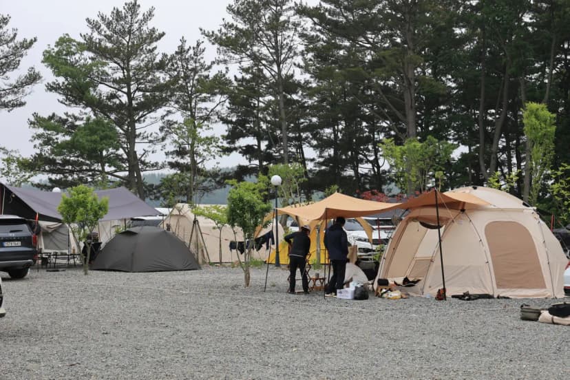 체로키캠핑장 (Cherokeycamp) 사진 16