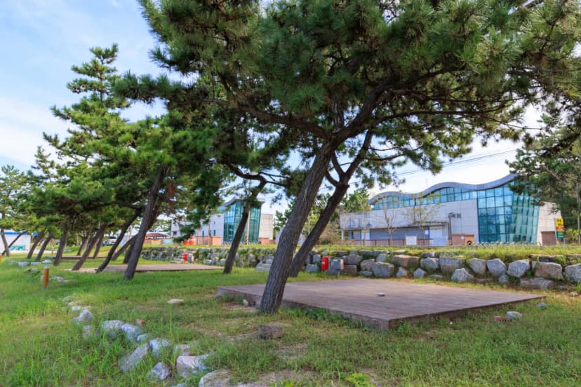 동호 국민여가캠핑장 사진 8