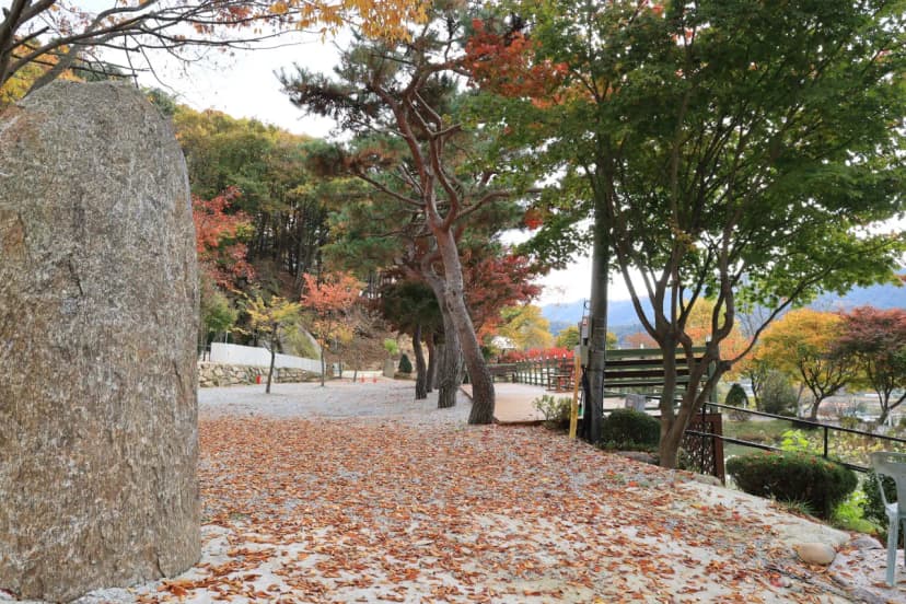 금동휴양림캠프1 사진 12