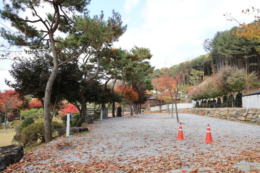 금동휴양림캠프1 사진 14