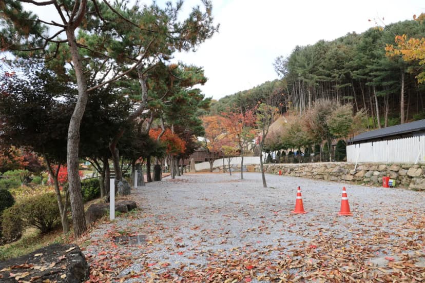 금동휴양림캠프1 사진 21