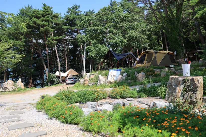 구름품은 캠핑장 사진 6