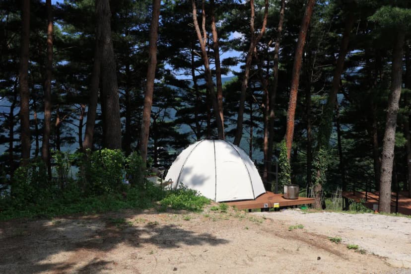 구름품은 캠핑장 사진 9