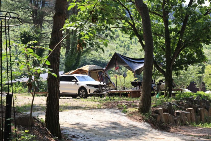 구름품은 캠핑장 사진 21