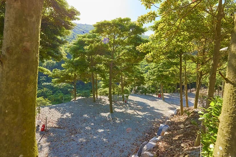 진도 카멜리아 힐즈 오토캠핑장 사진 5