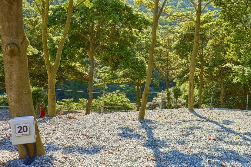 진도 카멜리아 힐즈 오토캠핑장 사진 10