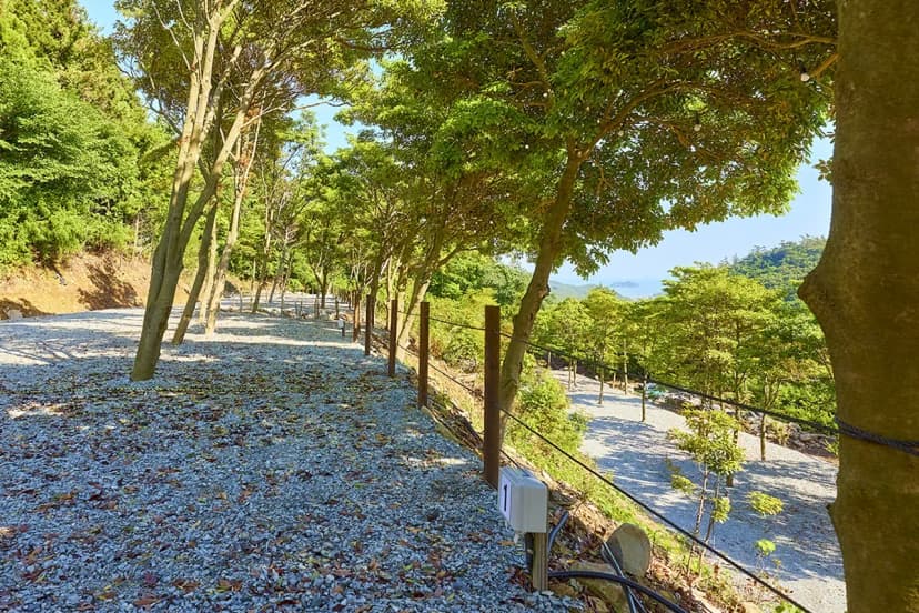 진도 카멜리아 힐즈 오토캠핑장 사진 11