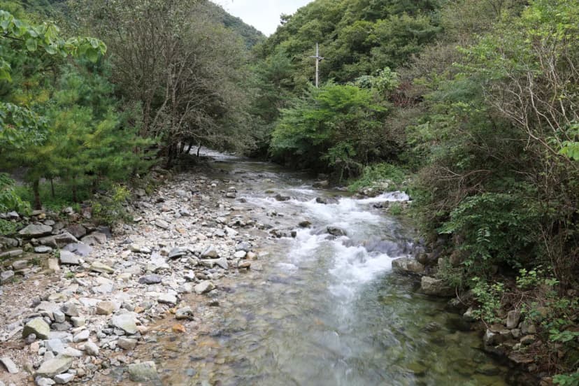 귀촌 야영장 사진 16