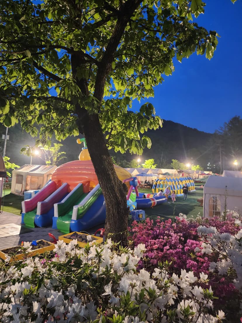 코알라캠핑장 사진 12