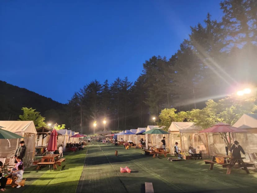 코알라캠핑장 사진 13