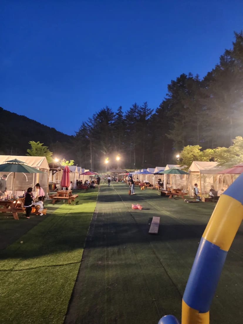 코알라캠핑장 사진 15