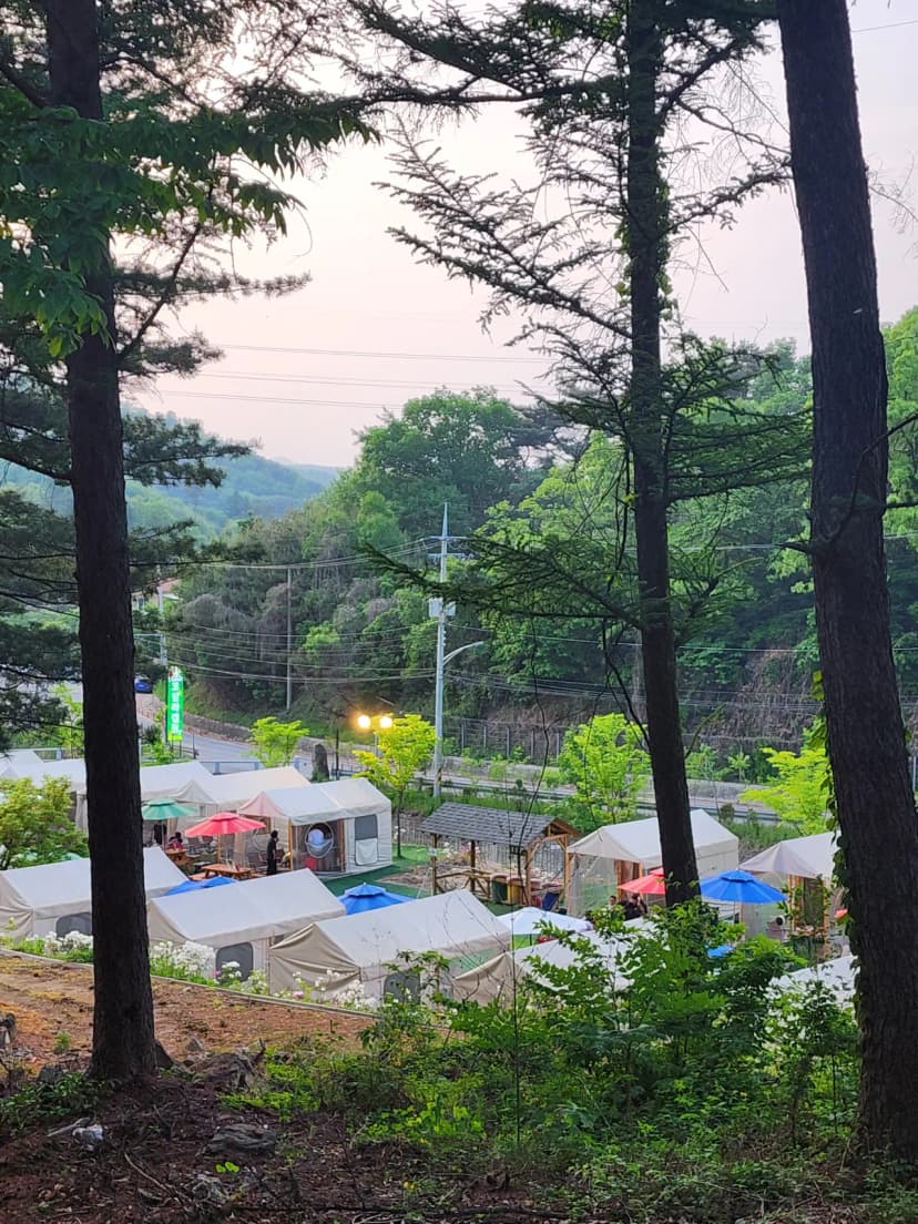 코알라캠핑장 사진 17