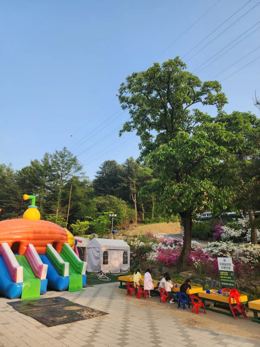 코알라캠핑장 사진 20