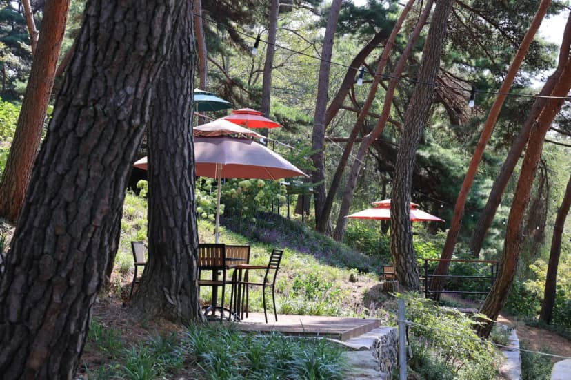 청춘별곡 사진 5
