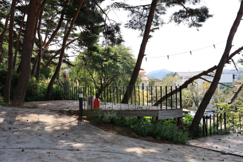 청춘별곡 사진 7