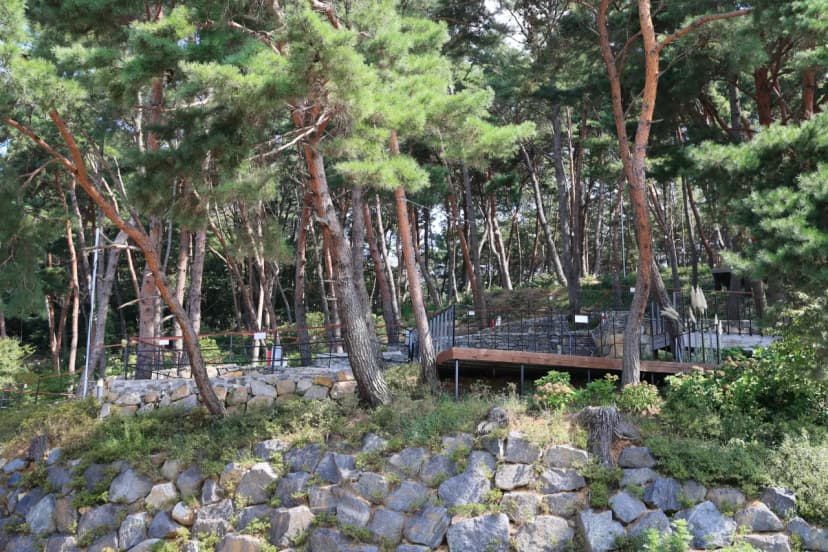 청춘별곡 사진 9