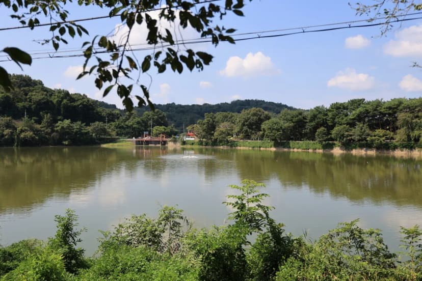 청춘별곡 사진 10