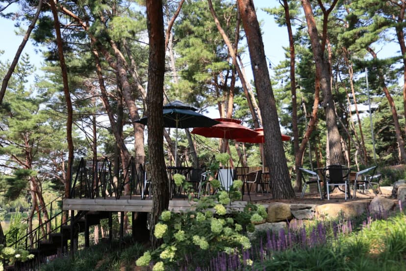 청춘별곡 사진 13