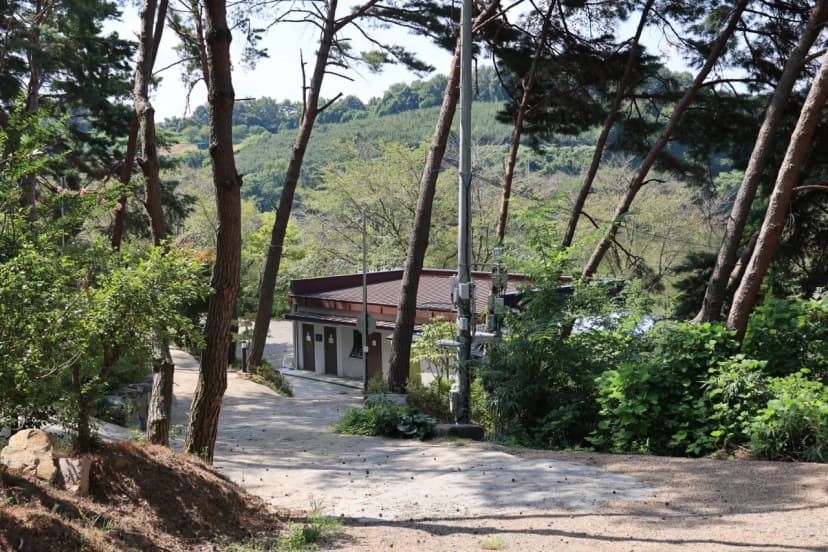 청춘별곡 사진 16
