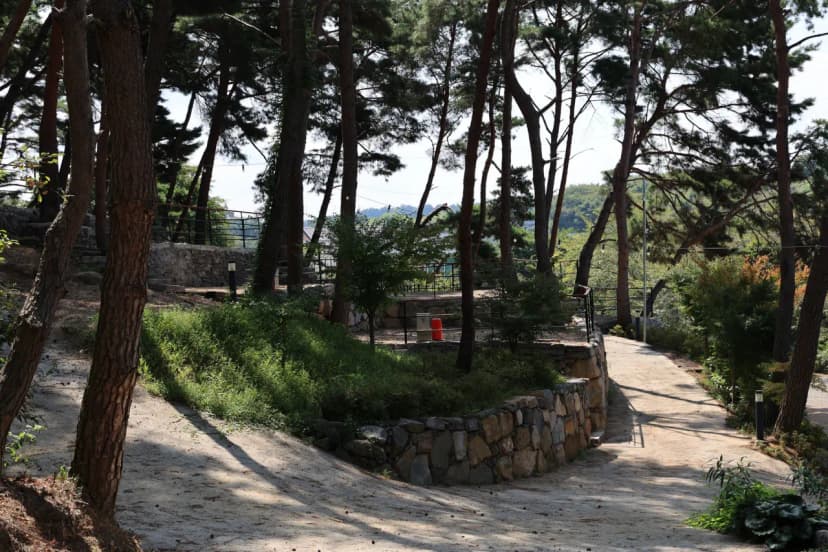 청춘별곡 사진 17