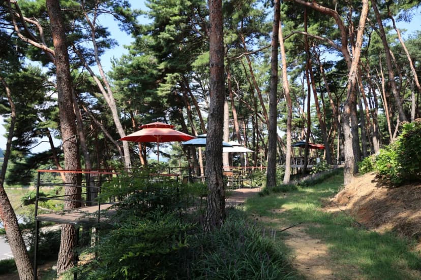 청춘별곡 사진 18