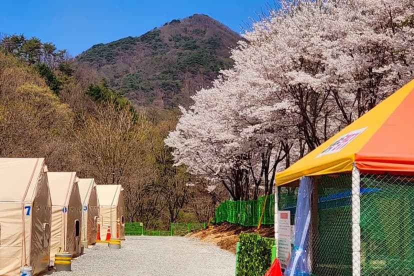 208덕동 캠핑장 사진 12