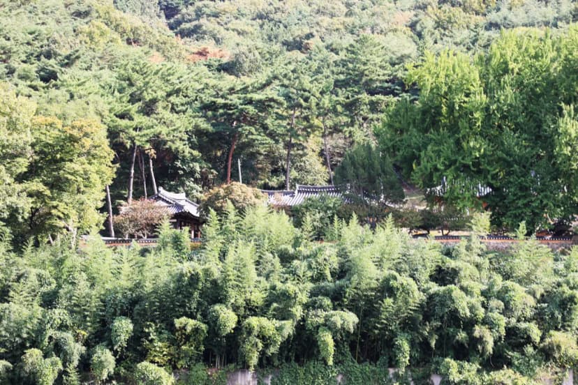 해브솔캠핑 사진 19