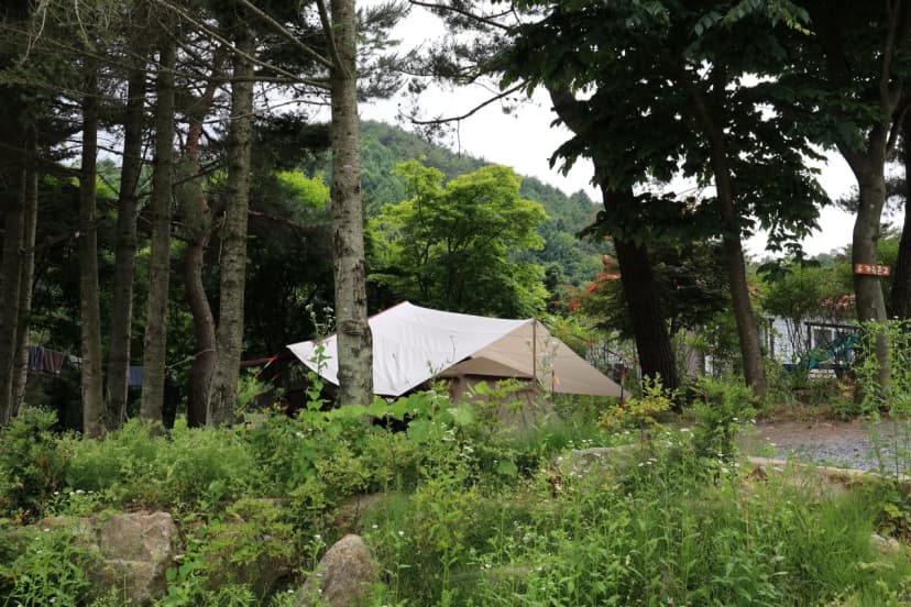 힐링인더 포레스트 사진 4