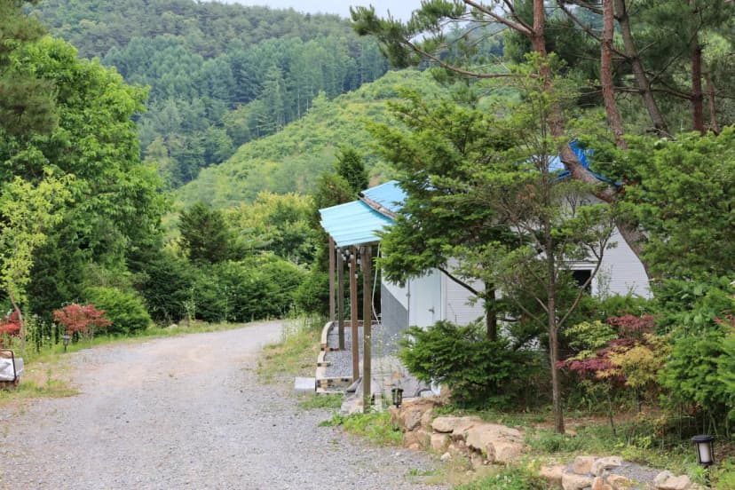 힐링인더 포레스트 사진 9