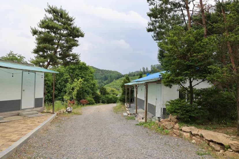 힐링인더 포레스트 사진 11