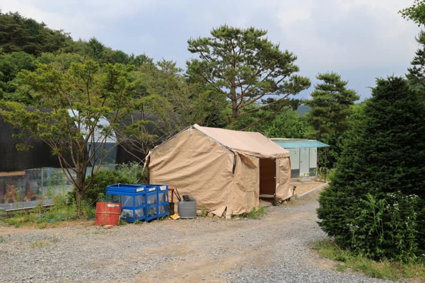 힐링인더 포레스트 사진 17
