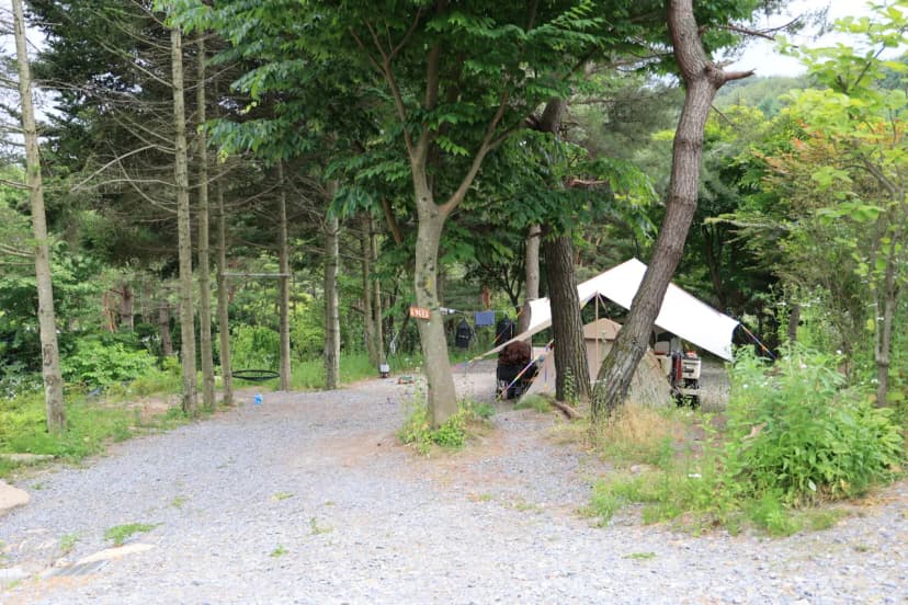 힐링인더 포레스트 사진 21