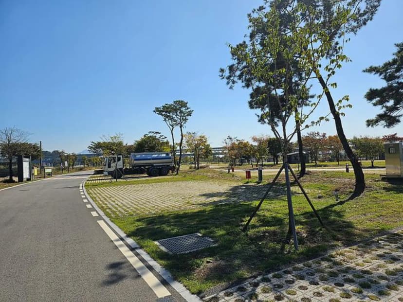 충주 목계솔밭 캠핑장 사진 3