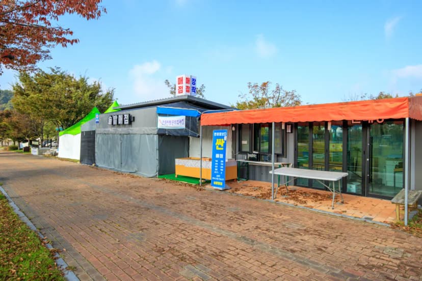 충주 목계솔밭 캠핑장 사진 7