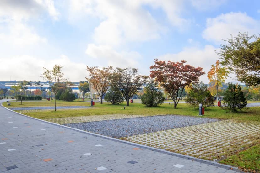 충주 목계솔밭 캠핑장 사진 10